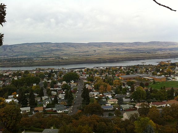 View North