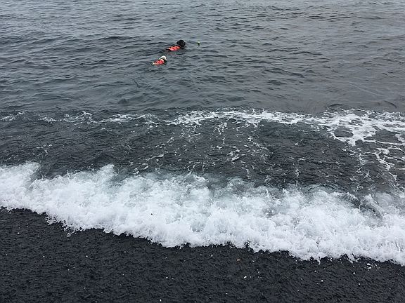 My dogs enjoying Pebble Bch.