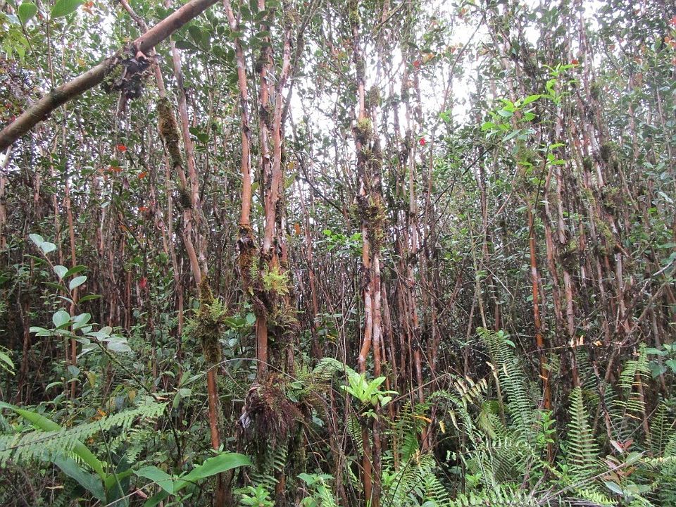 2nd image of Ao Road Rd #2-lot 2624