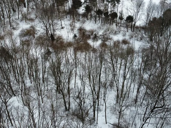 4297 Dinser Ln, Whitmore Lake, MI 48189