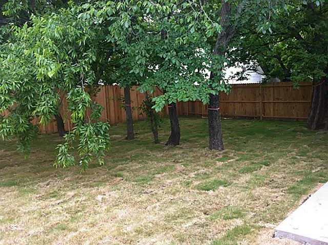 3 bed, 1550 sqft, $2,445 — Photo 4