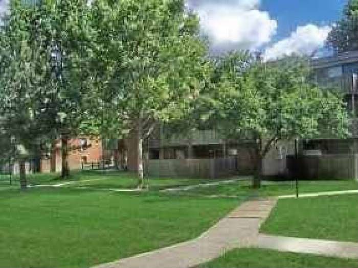 Lush Green Courtyards