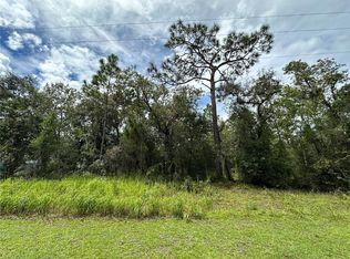 SE 126th Ter LOT 13, Dunnellon, FL 34431