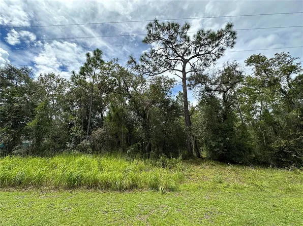 SE 126th Ter Lot 13, Dunnellon, FL 34431