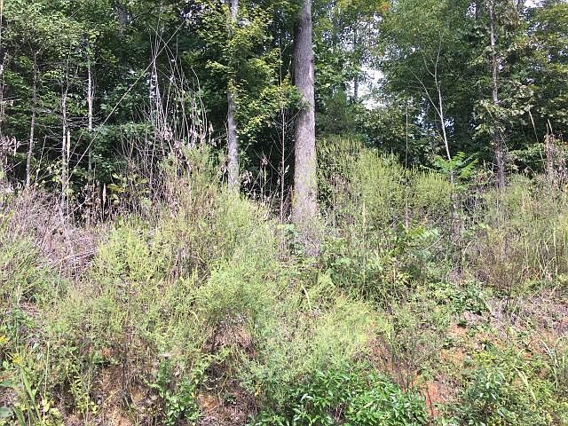 1st image of Dogwood Trl Lot 164&165