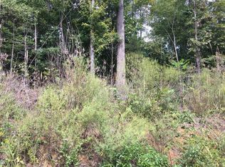 Dogwood Trl LOT 164&165, La Follette, TN 37766