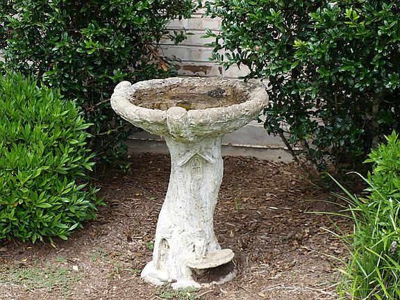 CUTE BIRD BATH
