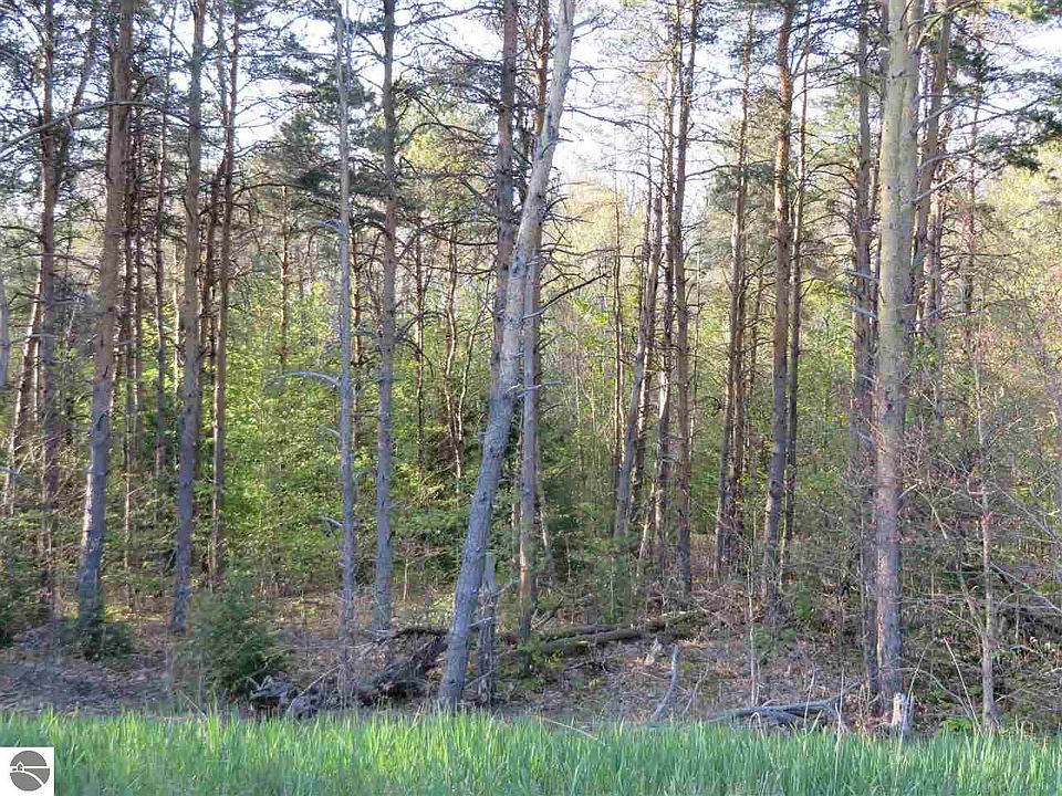 1st image of 10181 Betsie Creek Dr