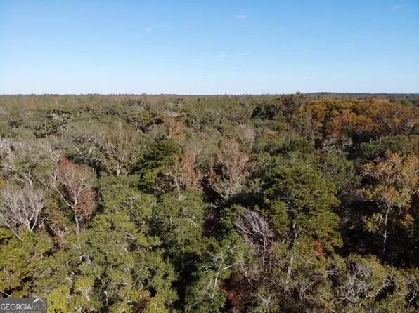 0 Little Ocmulgee Riv, Lumber City, GA 31549