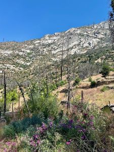 55178 Huntington Lake Rd, Big Creek, CA, 93605