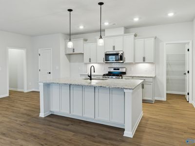 182 Saddle St, New Market, AL, 35761