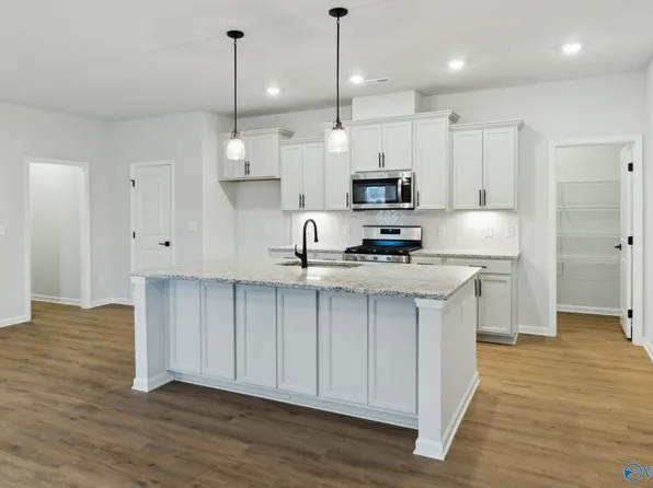 182 Saddle St, New Market, AL 35761