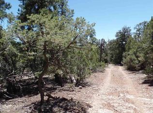 Felsic Rd, Grants, NM 87020