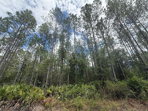 4th image of SW 89th St Lot 8