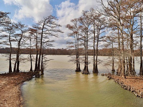 29th image of this home