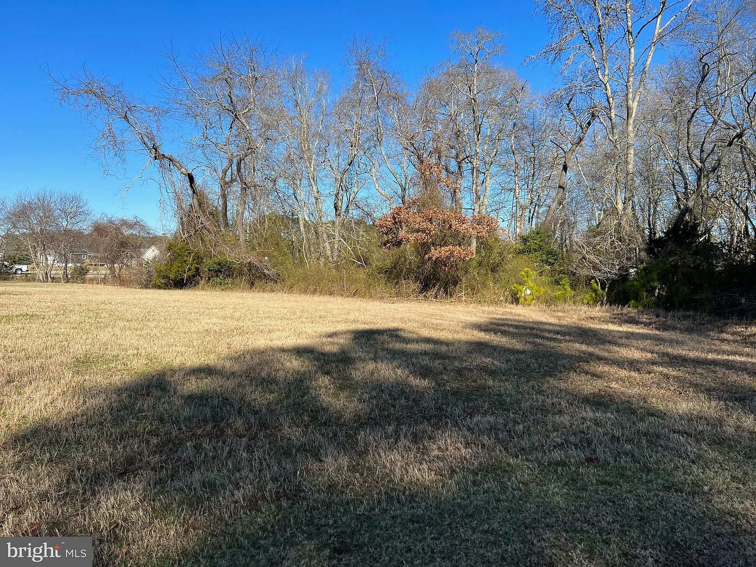 LOT 7 Octopus Rd, Greenbackville, VA 23356 Zillow