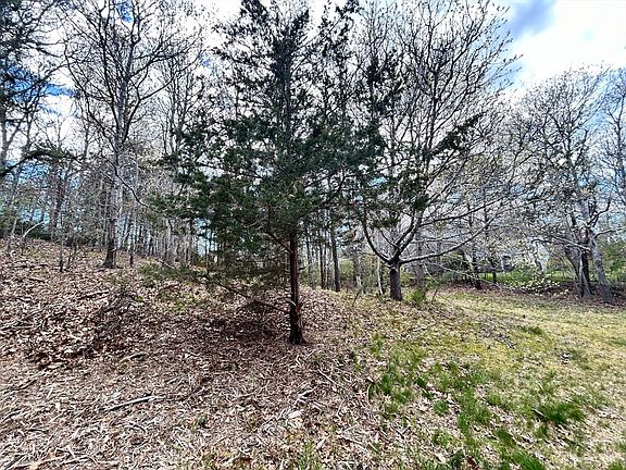 4th image of 51 Forest Pines Dr