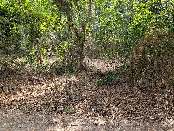 4th image of 124 Old Farm Road