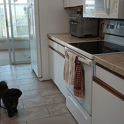 Gallo kitchen