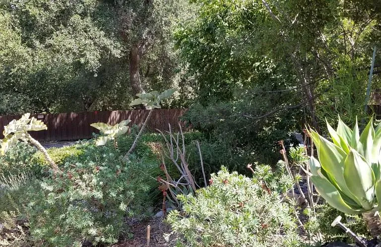 4329 Ensenada Dr — Photo 9