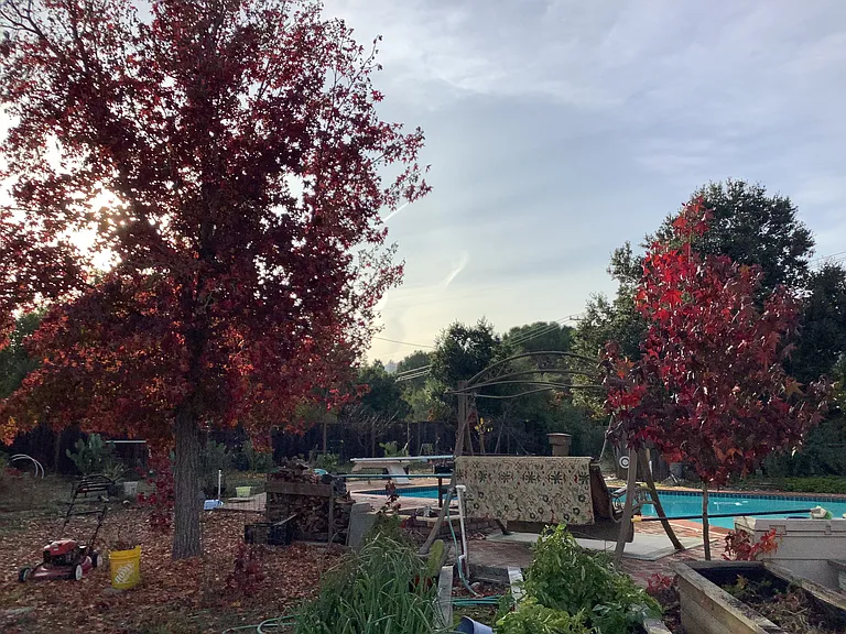 Elena Rd — Photo 14