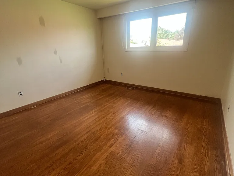 57 Corinthian Blvd — Photo 26