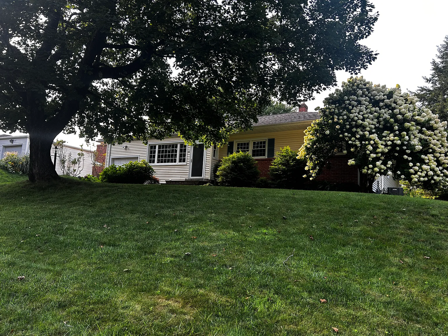 4 bed, 2127 sqft, $4,300 — Photo 1