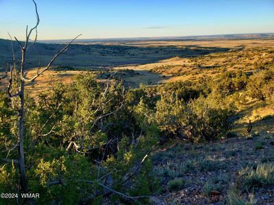 114 County Rd, Concho, AZ, 85924