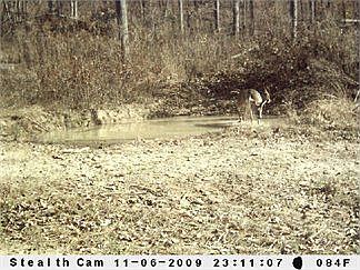 2nd image of 8421 E Highway 92