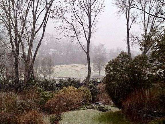 2nd image of 61 Essex Ct