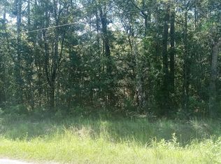 2265 Juneberry Ct, MIDDLEBURG, FL 32068