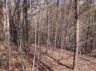 2 Riverview Forest Dr #2, Marion, NC 28752