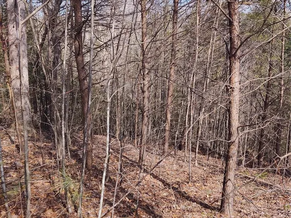 2 Riverview Forest Dr #2, Marion, NC 28752