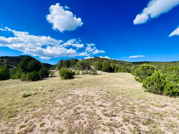 642 County Road B43b, Ilfeld, NM 87538