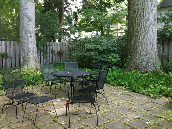 Back yard