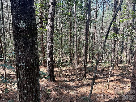 2nd image of 2494 Ivy Rays Way #41