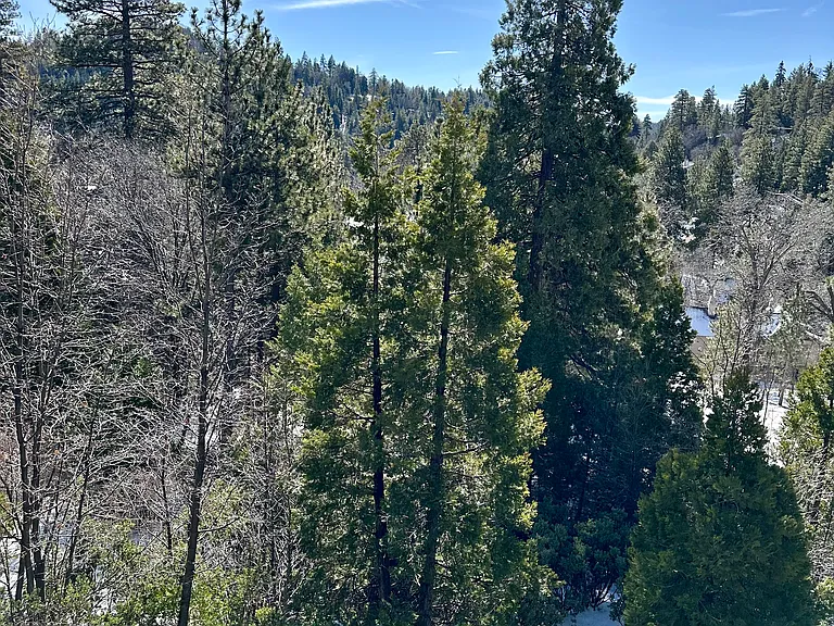 Upper balcony view in winter
