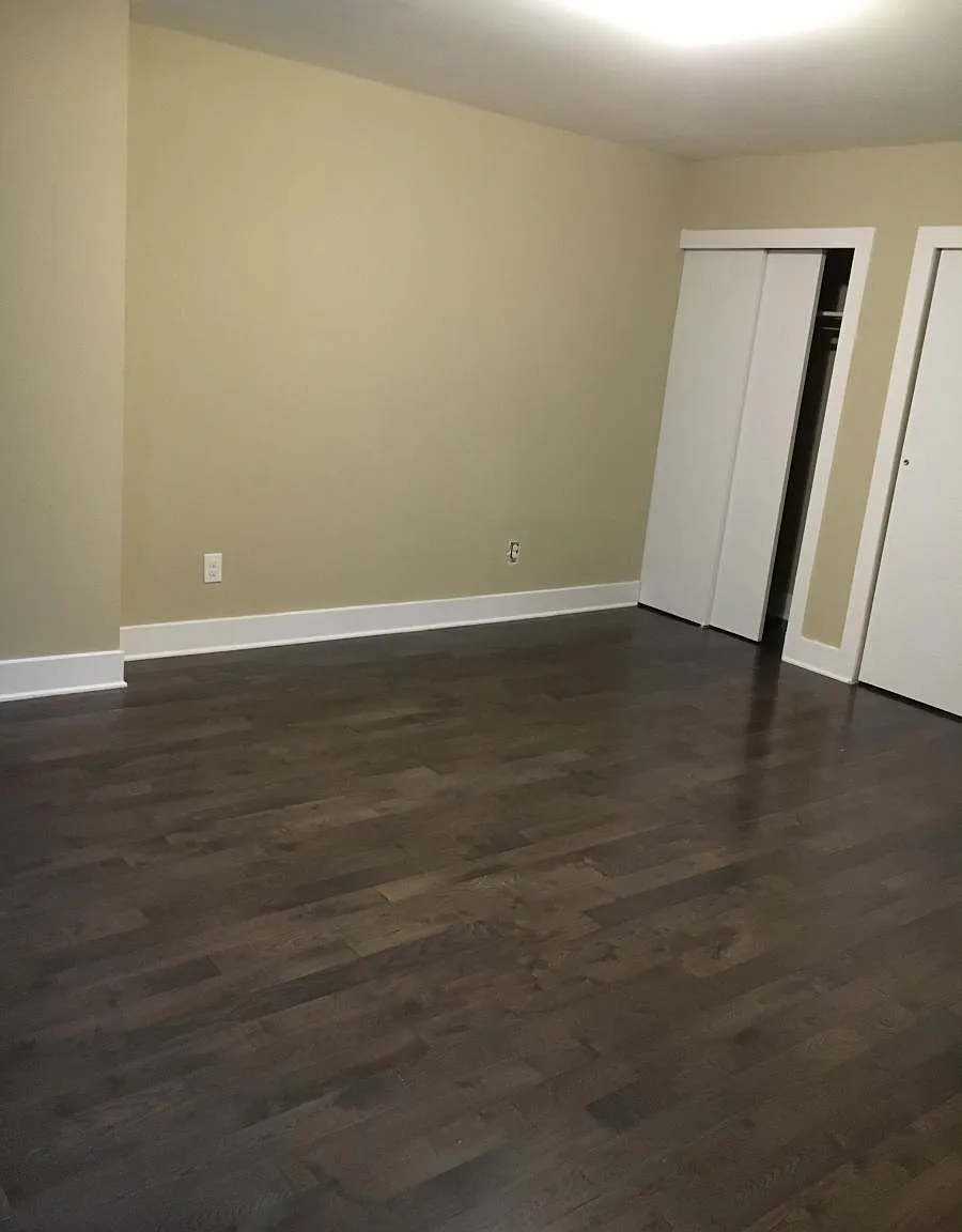 1 bed, 700 sqft, $1,250 — Photo 3