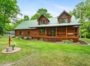 10825 Rotter Rd, Alanson, MI 49706