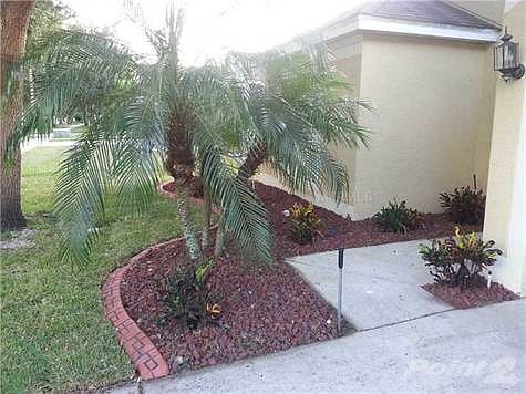 2nd image of 11724 Carrollwood Cove Dr
