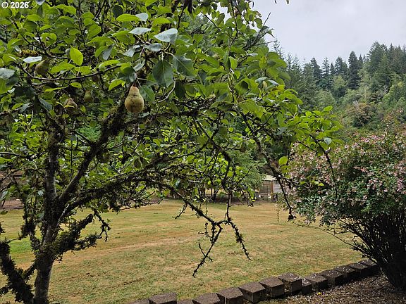 5th image of 1860 Oar Creek Rd