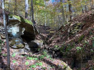 Wilson Run Rd, New Matamoras, OH 45767