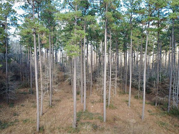 4th image of 1497 County Road 1170