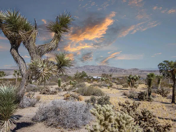 60586 La Mirada Trl, Joshua Tree, CA 92252