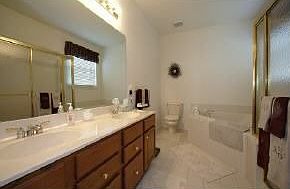 Master bath with garden tub