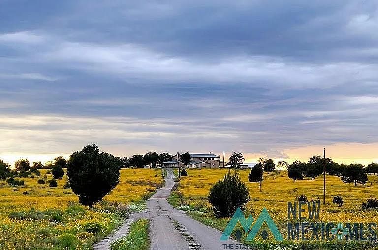 1st image of 32 W Hickey Rd