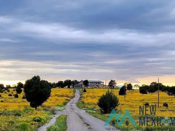 32 W Hickey Rd, Pie Town, NM 87827