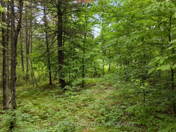 LOT 16 Echo Lake Rd, Central Frontenac, ON K0H 1T0