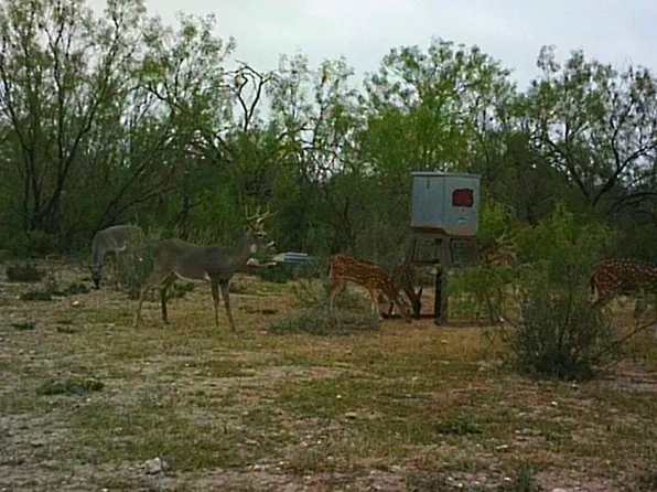 17 Rancho, Del Rio, TX 78840