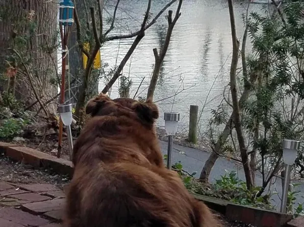 199 Lee Farm Dr, Southbury, CT 06488